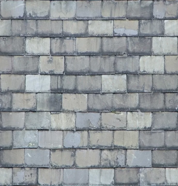 Roof Slates1 main texture preview