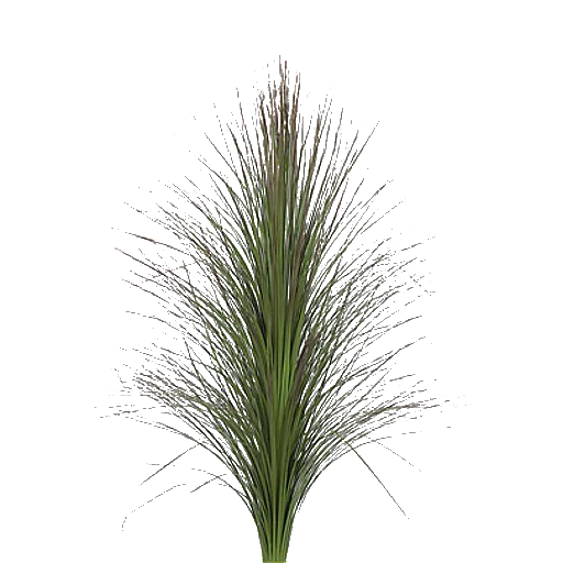 Longgrass01 Cc0 main texture preview