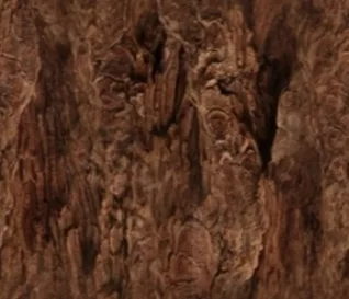 Tree 2 main texture preview