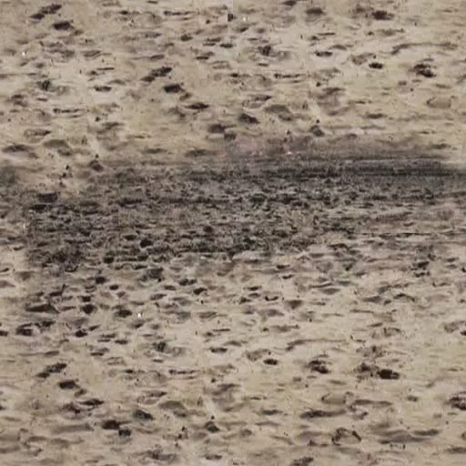 Sand 055 main texture preview