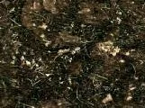 S S Muddy2 T main texture preview