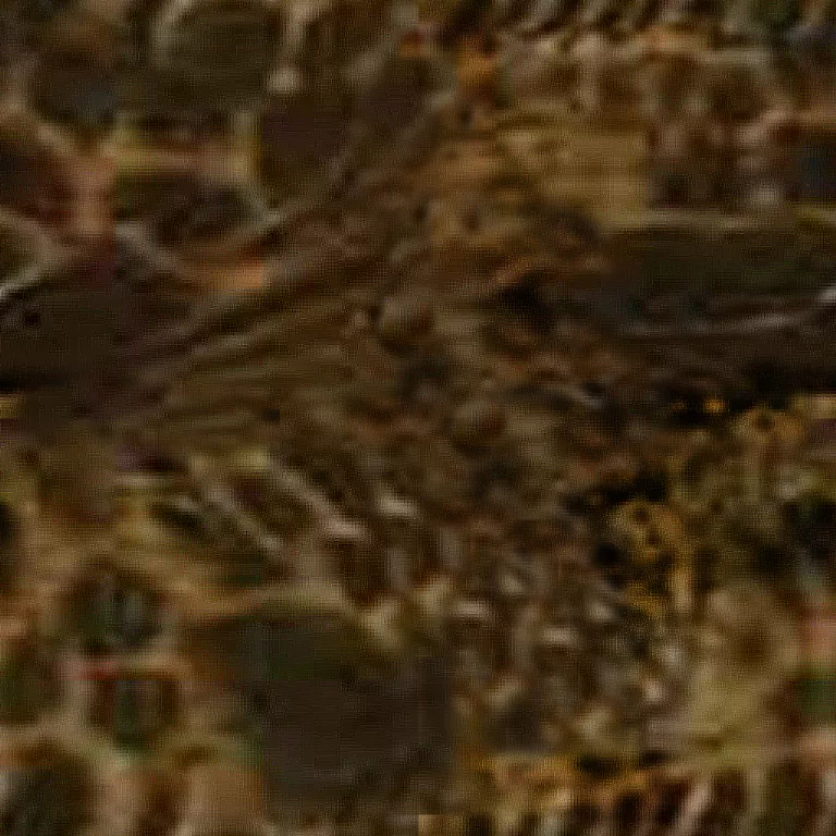 Main Texture for Draco Cheek