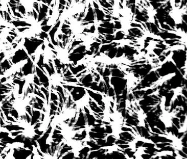 Bump17 main texture preview