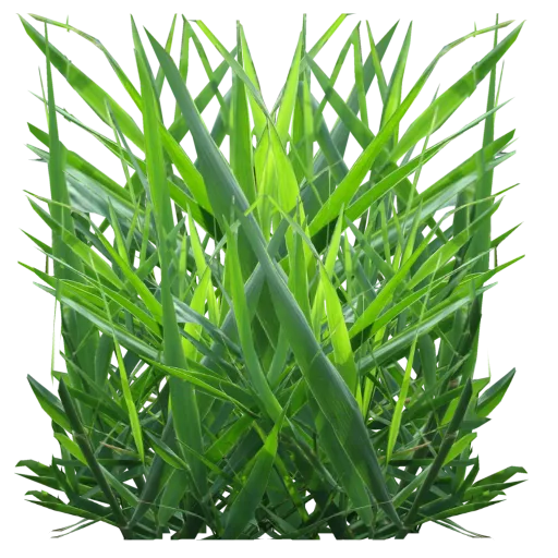 Wild Grass main texture preview