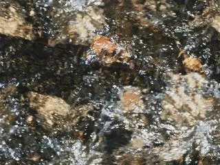 Natur02M main texture preview