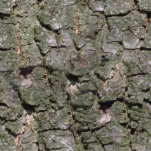 040Bois main texture preview