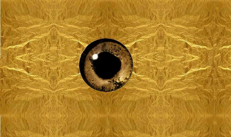 Gold Eagle Eye main texture preview