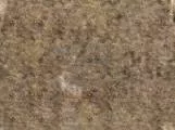 S S Dirtwallcolor main texture preview