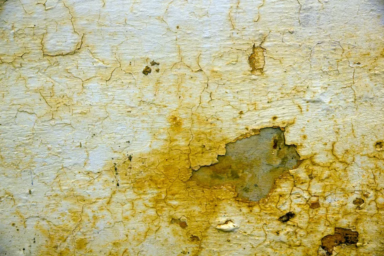 47 main texture preview