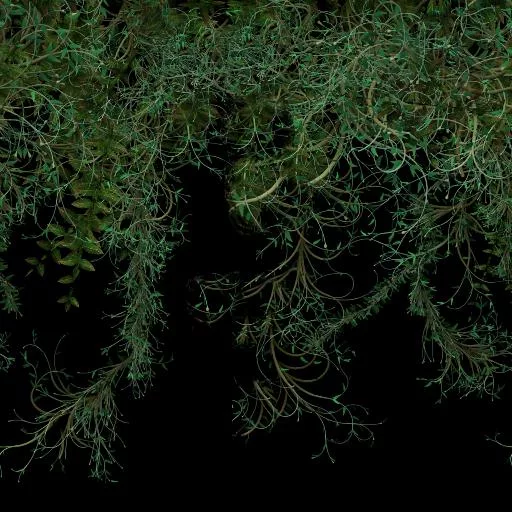Vigne 1 main texture preview