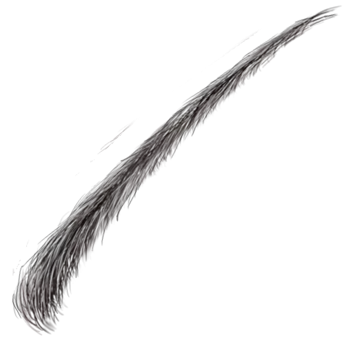 Eyebrow004 main texture preview