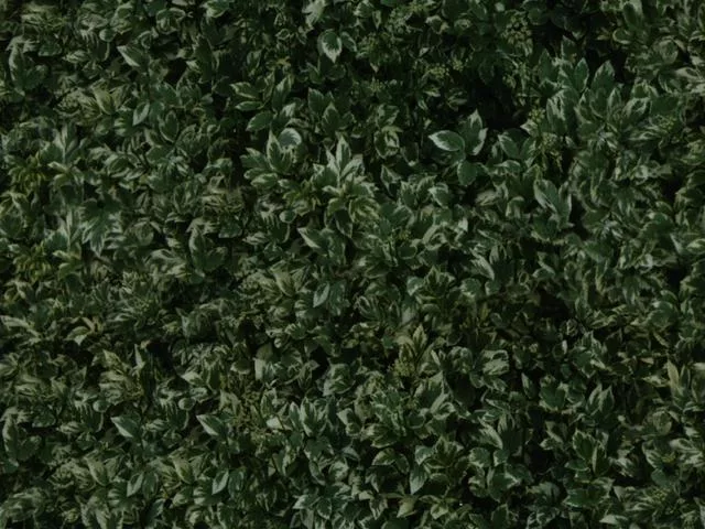 Natur18L main texture preview