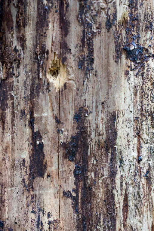 Img 0134 main texture preview