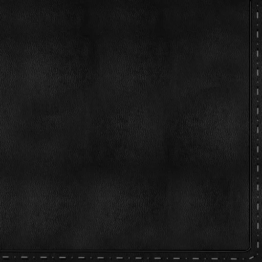 Black Leather Seams 3 main texture preview