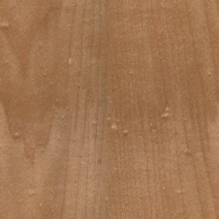 Wood White Maple Pxr128 Cc By By Pixar main texture preview