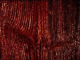 S S Wood2 main texture preview