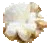 Popcorn2 main texture preview