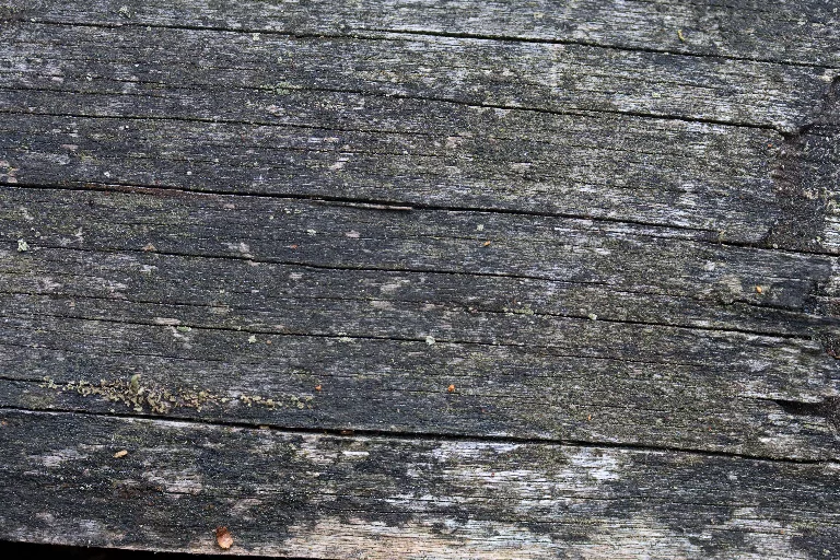 Img 0088 main texture preview