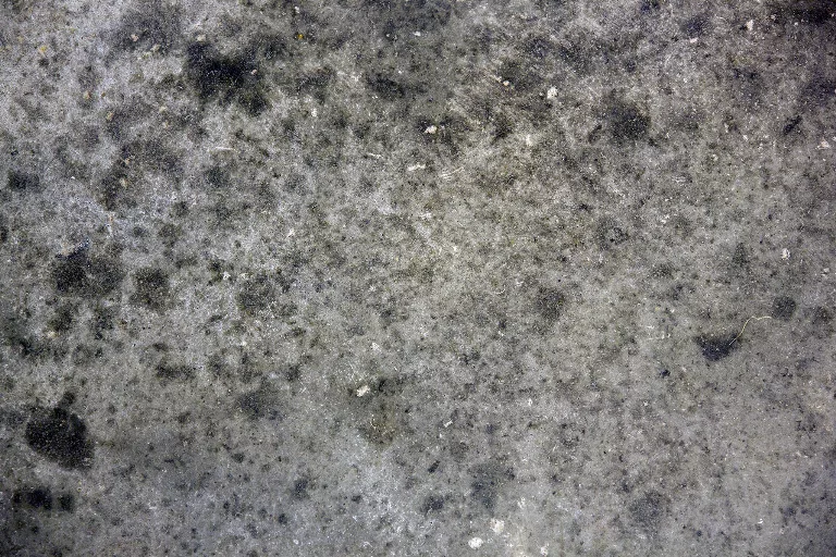 114 main texture preview