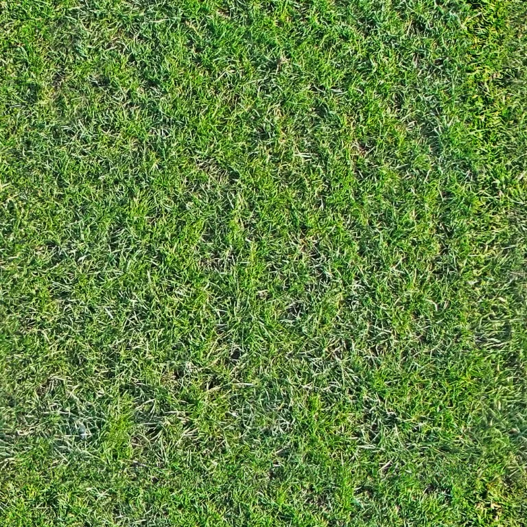 Grass Rough2 main texture preview