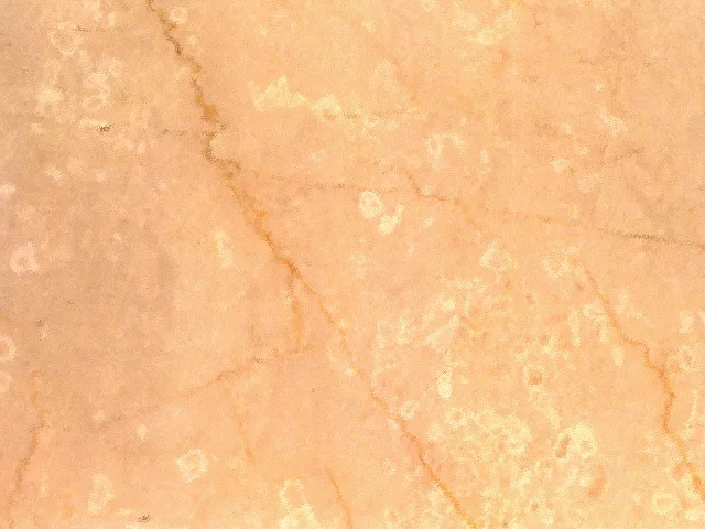 Botticin main texture preview