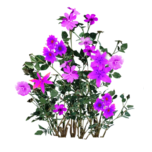 Pink Flower Bunch texture preview