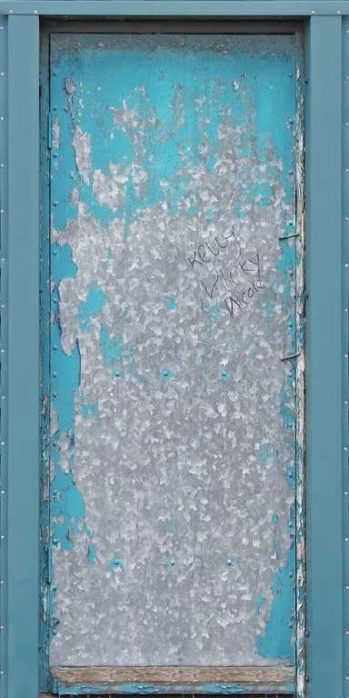 Door Steel Blue main texture preview