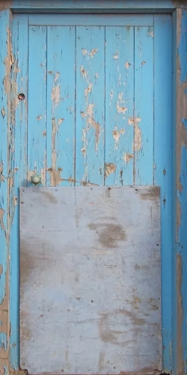 Door Wood Blue4 main texture preview