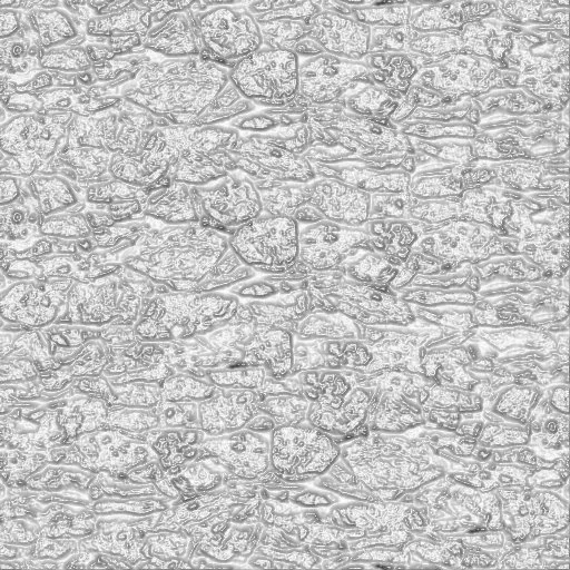 Castle Gray Rock Wall main texture preview