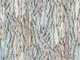 S S Wood02L main texture preview