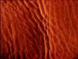 S S Leather1 main texture preview