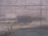 S S Cplane main texture preview