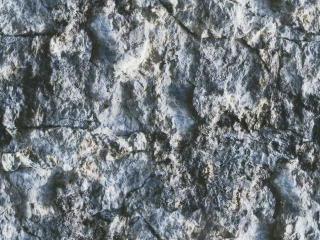 Natur04L main texture preview