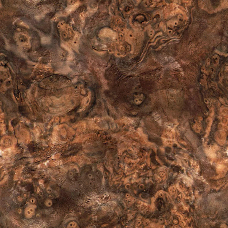 Wood Burled Walnut Pxr128 Cc By By Pixar main texture preview