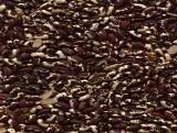 S S Beanoid2 main texture preview