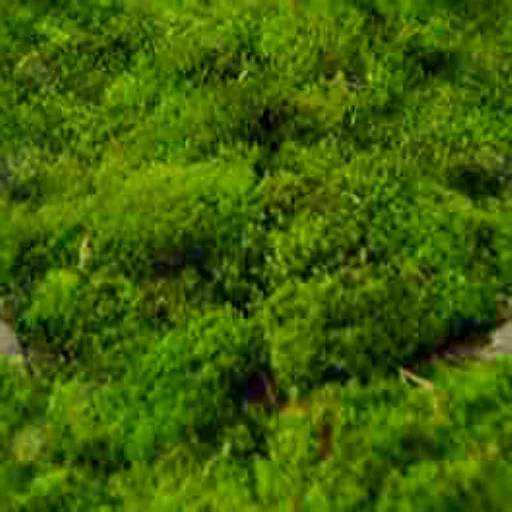 Seamless Green Mossy Rock Cover Cc main texture preview
