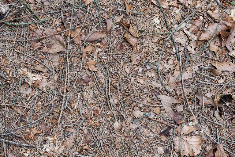 Img 0264 main texture preview