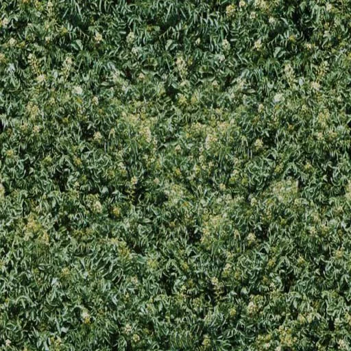 Nature083 main texture preview