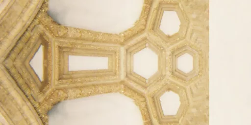 Dome Top 25 main texture preview