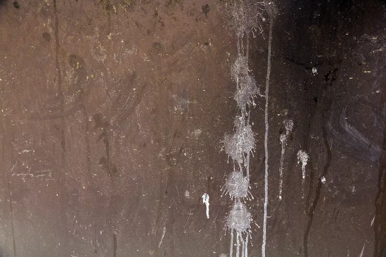 79 main texture preview
