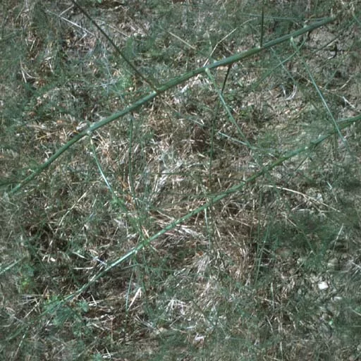 Nature006 main texture preview