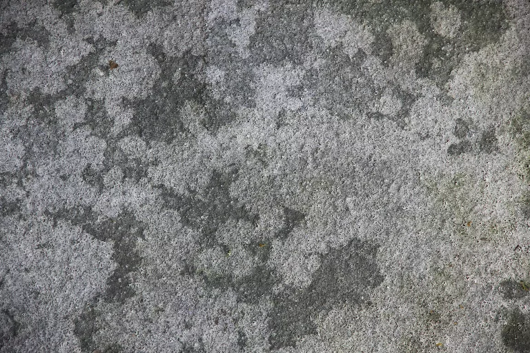 23 main texture preview