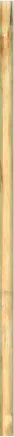 Bamboo Pole main texture preview