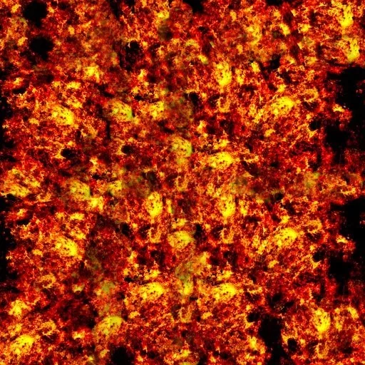 Worldforge Lava Cc main texture preview