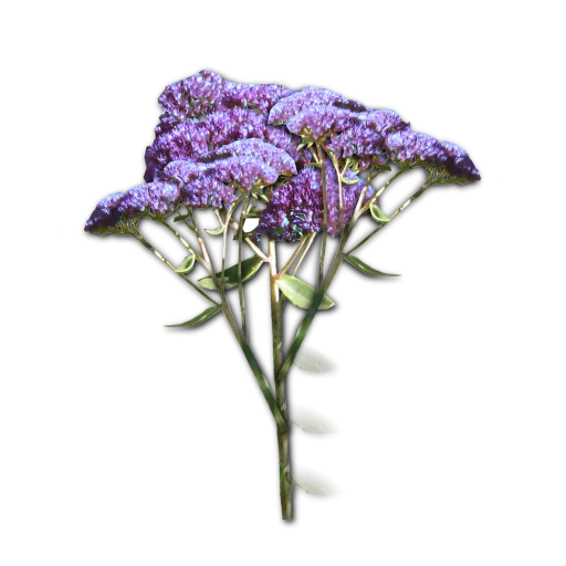 English Garden Flowers Purple texture preview