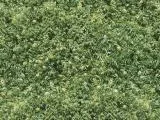 S S Natur01L main texture preview