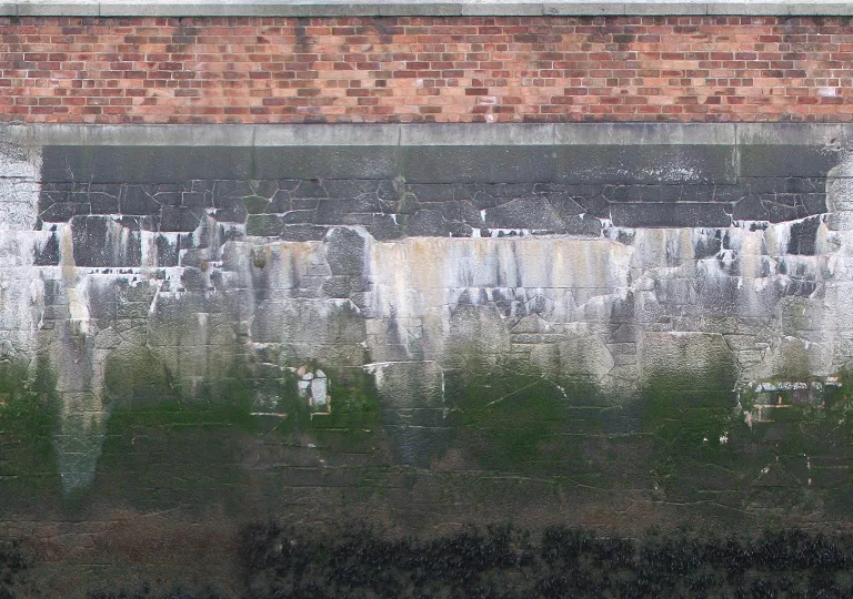 Dock Wall main texture preview