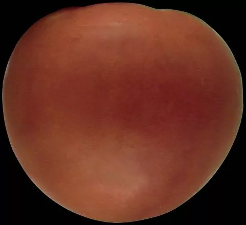 Tomato3 main texture preview