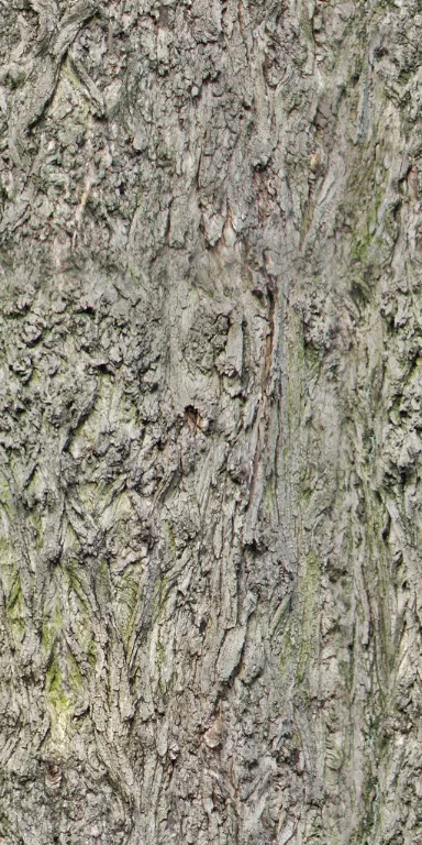 Bark Gnarly2 main texture preview