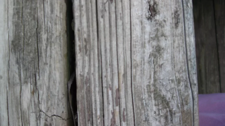 Sourcephoto Old Wood5 texture preview